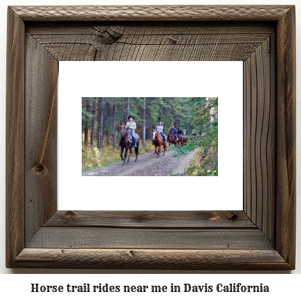 horse trail rides near me in Davis, California